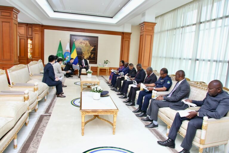 Gabon /Huawei: la construction d&rsquo;une ville interconnectée au menu des échanges 